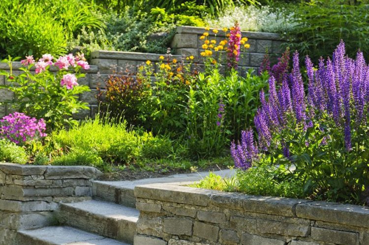 Landscapers Somerville NJ