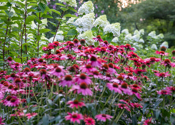 1762 Millstone River RD 8R0A801320251762 Millstone river rd-6