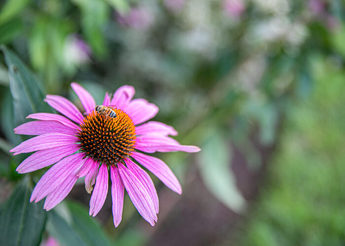 1762 Millstone River RD 8R0A811920251762 Millstone river rd-53