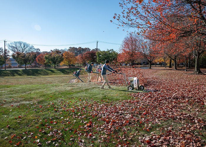 Commercial Fall Clean Up