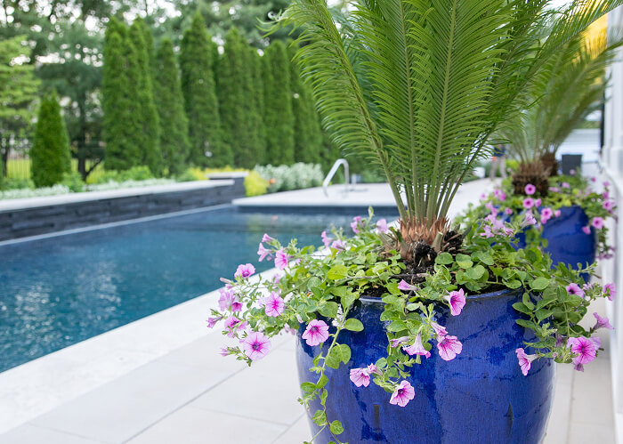 Sal Ventura 202520254174-219