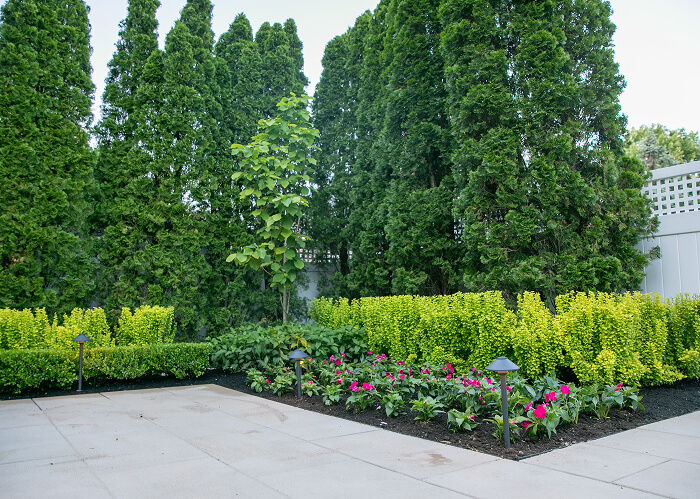 Sal Ventura 202520254178-223