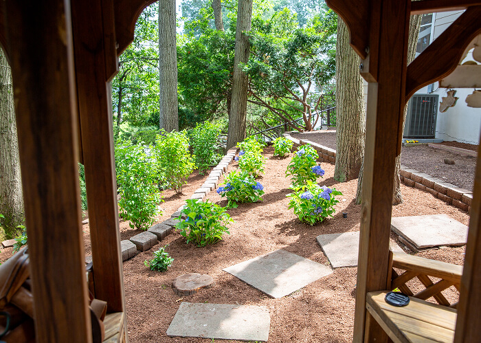 TMP Planting Job Vincent J Lopez 59722025sin título-57